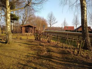 Rückschnitt der Waiden auf dem Abenteuerspielplatz