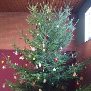 Weihnachtsbäume für ein gutes Ziel – Jugendfeuerwehr Sehlde sammelt ein