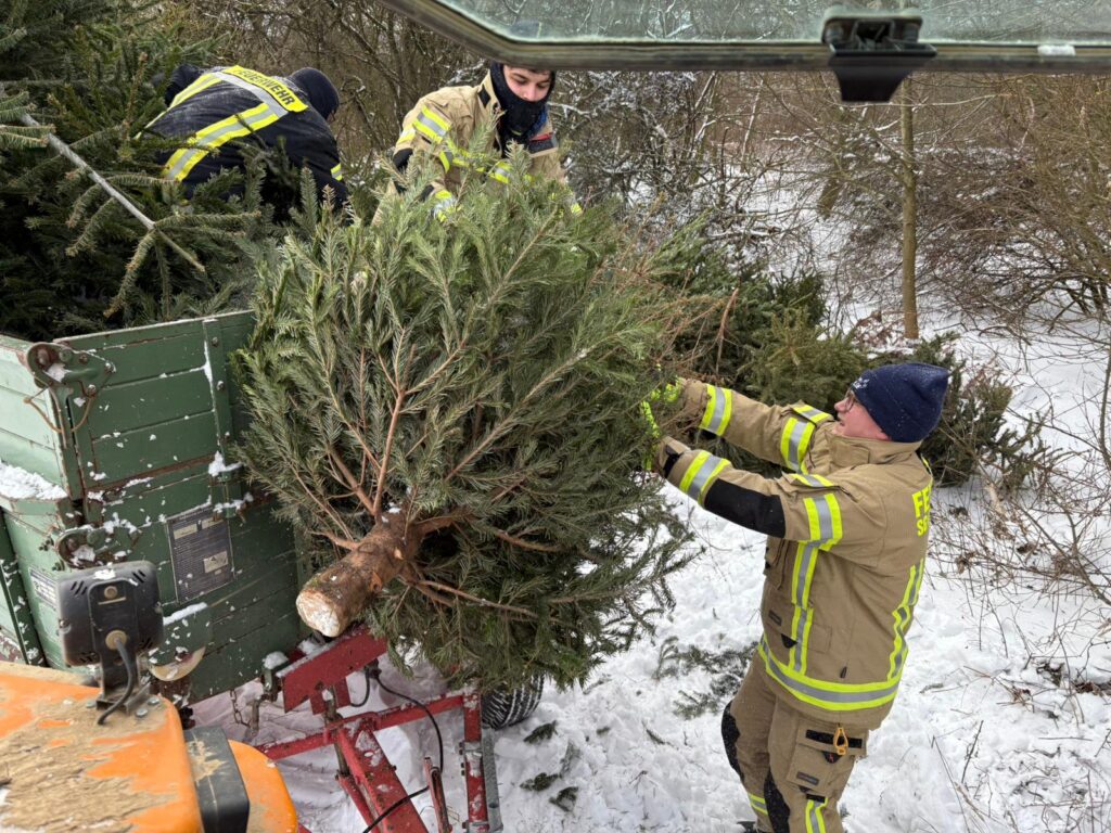 Die Jugenfeuerwehr Sehlde sammelt Weihnachtsbäume ein. Foto: FF Sehlde